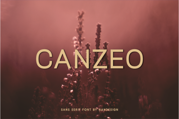 Canzeo Font Review: Elevate Your Brand Identity