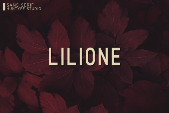 Lilione: A Clean Sans Serif Font for Modern Editors