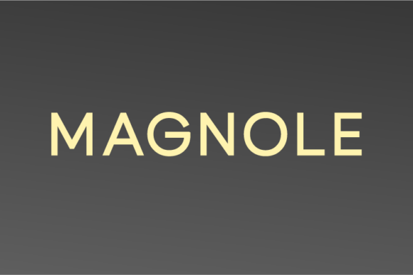 Magnole Font: A Modern Typeface for Small Business Branding