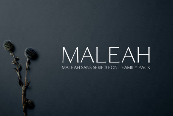 Maleah: The Elegant Thin Sans Serif Font for Modern Brands