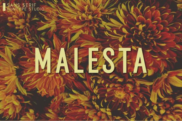 Malesta Font: A Futuristic Sans Serif for Modern Editorial Design