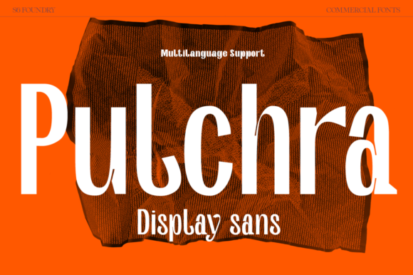 Pulchra: A Modern Sans Serif Font for Web Design