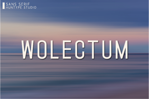 Wolectum: A Clean Sans Serif Font for Modern Web Design